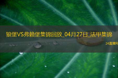 法甲-罗森菲尔德制胜球弗赖堡1-0十人沃尔夫斯堡
