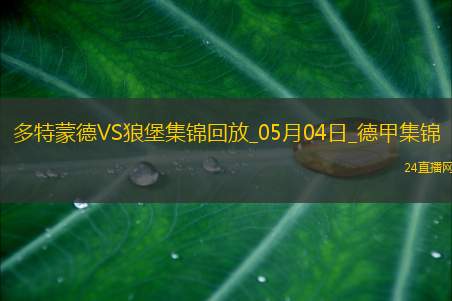 德甲-吉拉西阿德耶米双响多特4-0狼堡先赛升第四