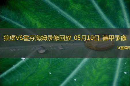 05月10日德甲第33轮沃尔夫斯堡vs霍芬海姆全场录像