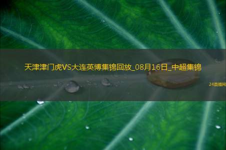 中超第21轮天津津门虎vs大连英博进球视频