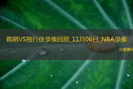 2025年11月6日NBA常规赛鹈鹕vs独行侠