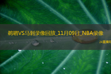 2025年11月9日NBA常规赛鹈鹕vs马刺