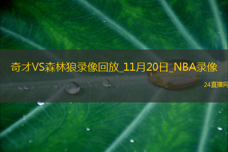 2025年11月20日NBA常规赛奇才vs森林狼