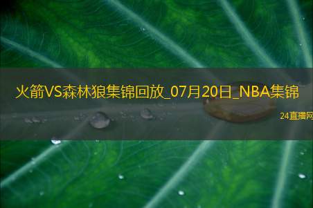 凯文-哈里斯18+7+6+4断 牛顿24+10 火箭逆转森林狼取夏联首胜