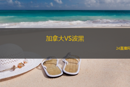 加拿大VS波黑