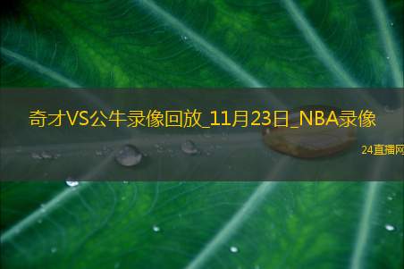 2025年11月23日NBA常规赛奇才vs公牛