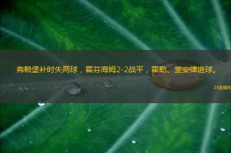 弗赖堡补时失两球，霍芬海姆2-2战平，霍勒、堂安律进球。