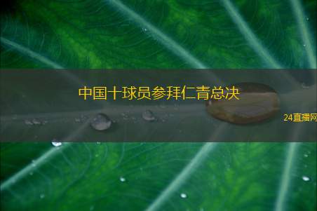 中国十球员参拜仁青总决