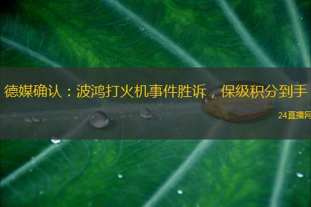德媒确认：波鸿打火机事件胜诉，保级积分到手