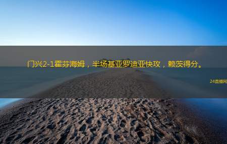 门兴2-1霍芬海姆，半场基亚罗迪亚快攻，赖茨得分。